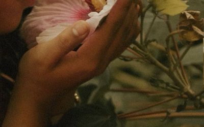 Choosing to forget